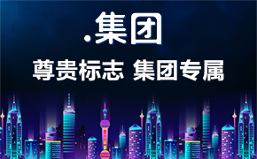 集團(tuán)域名
